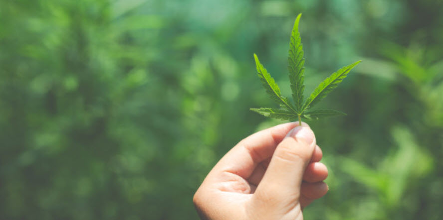 Benefits of Hemp Clothing