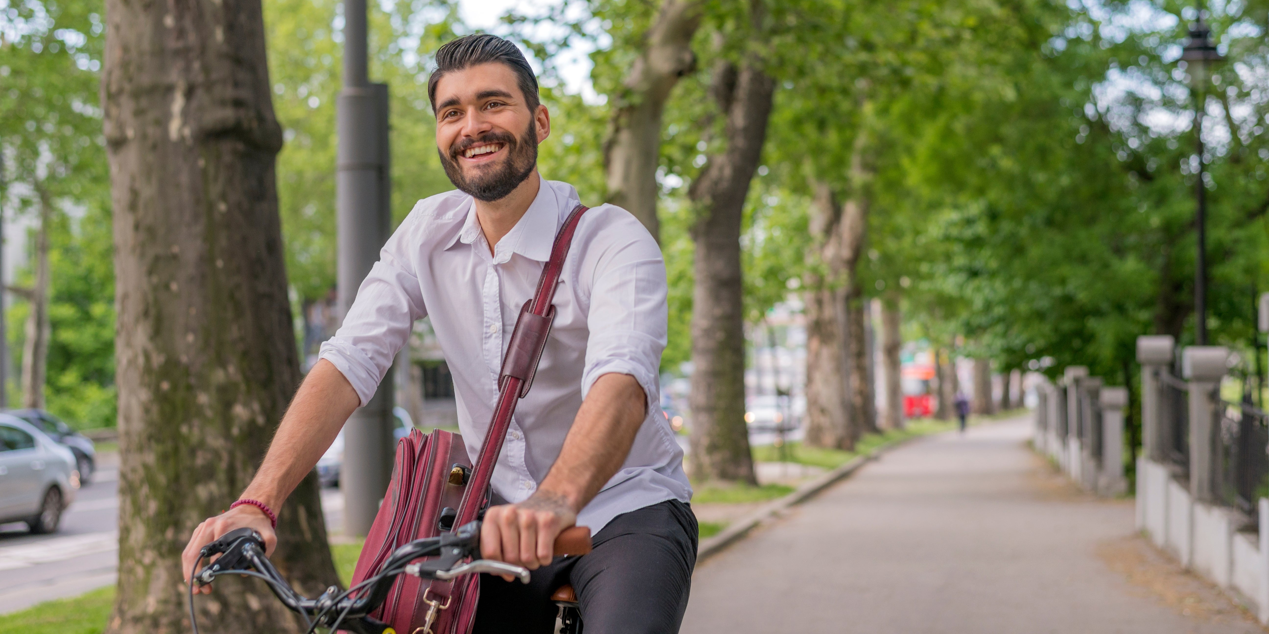 Exploring Hemp Seed Flour's Natural Stress-Relieving Potential