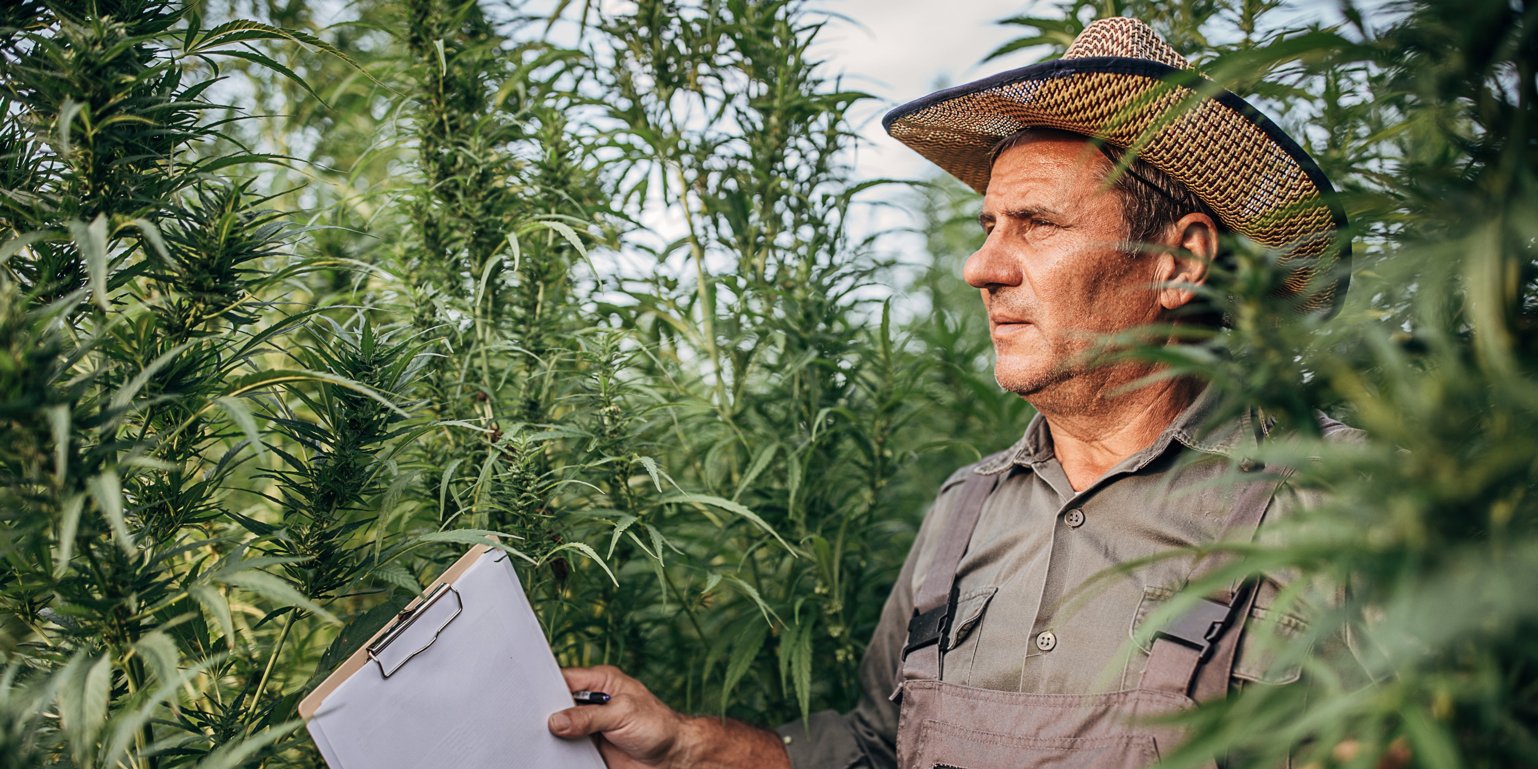 Hemp Clothing's Biodegradable Excellence