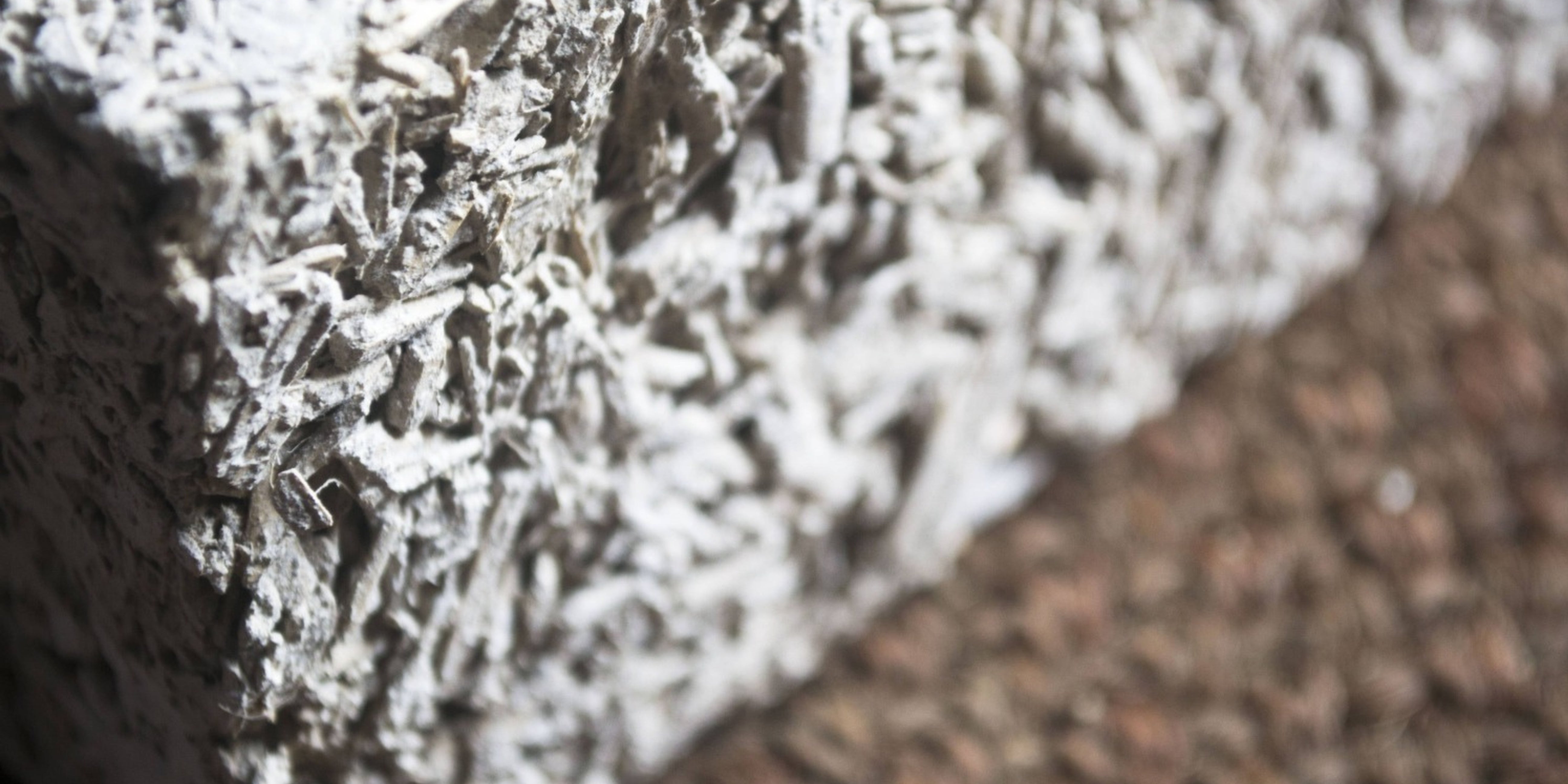 Hempcrete: The Sustainable Building Material of the Future
