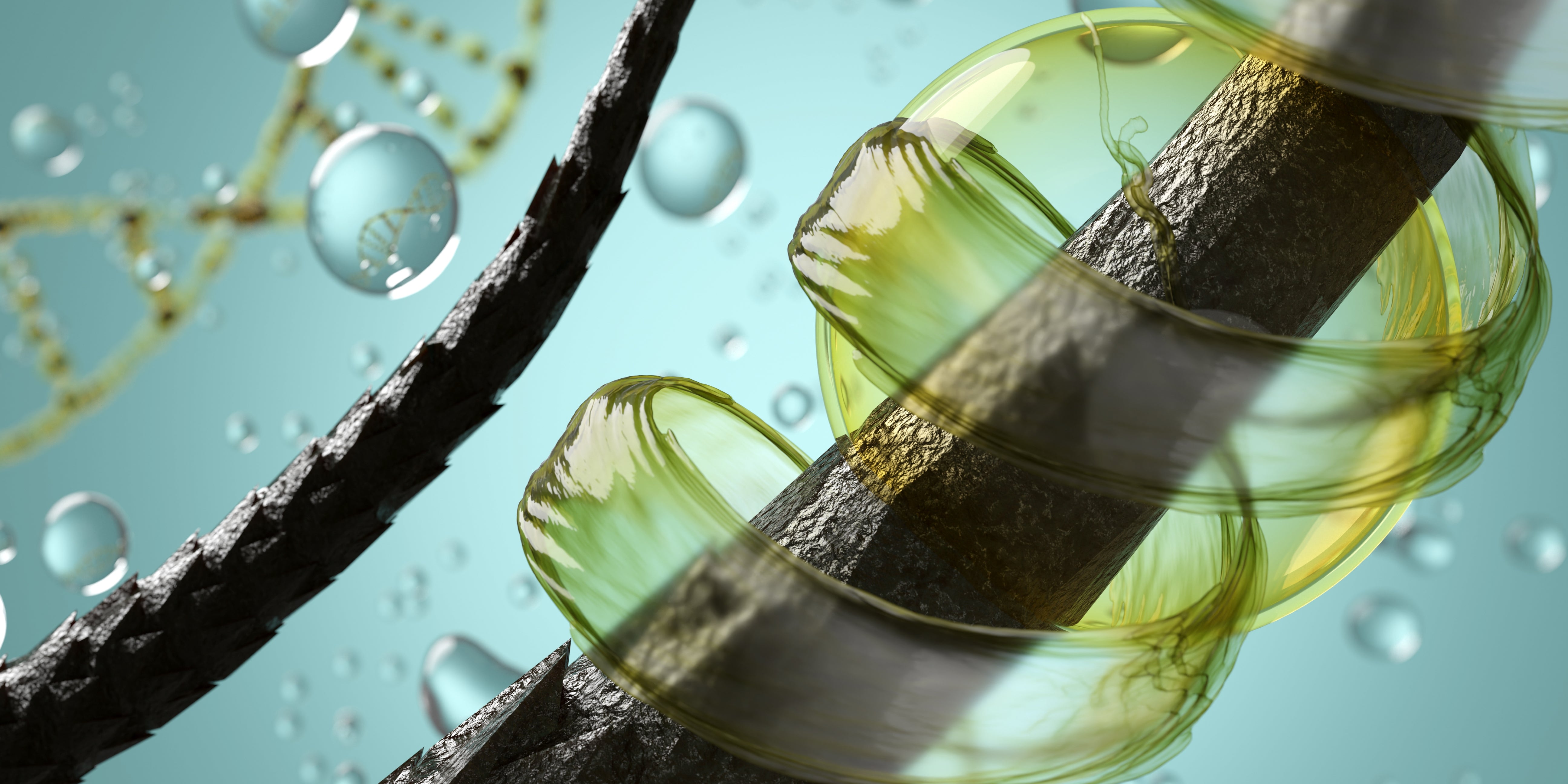 Repair and Restore Your Hair's Natural Beauty With Hemp Shampoo