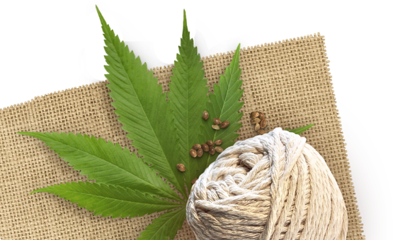 About Hemp