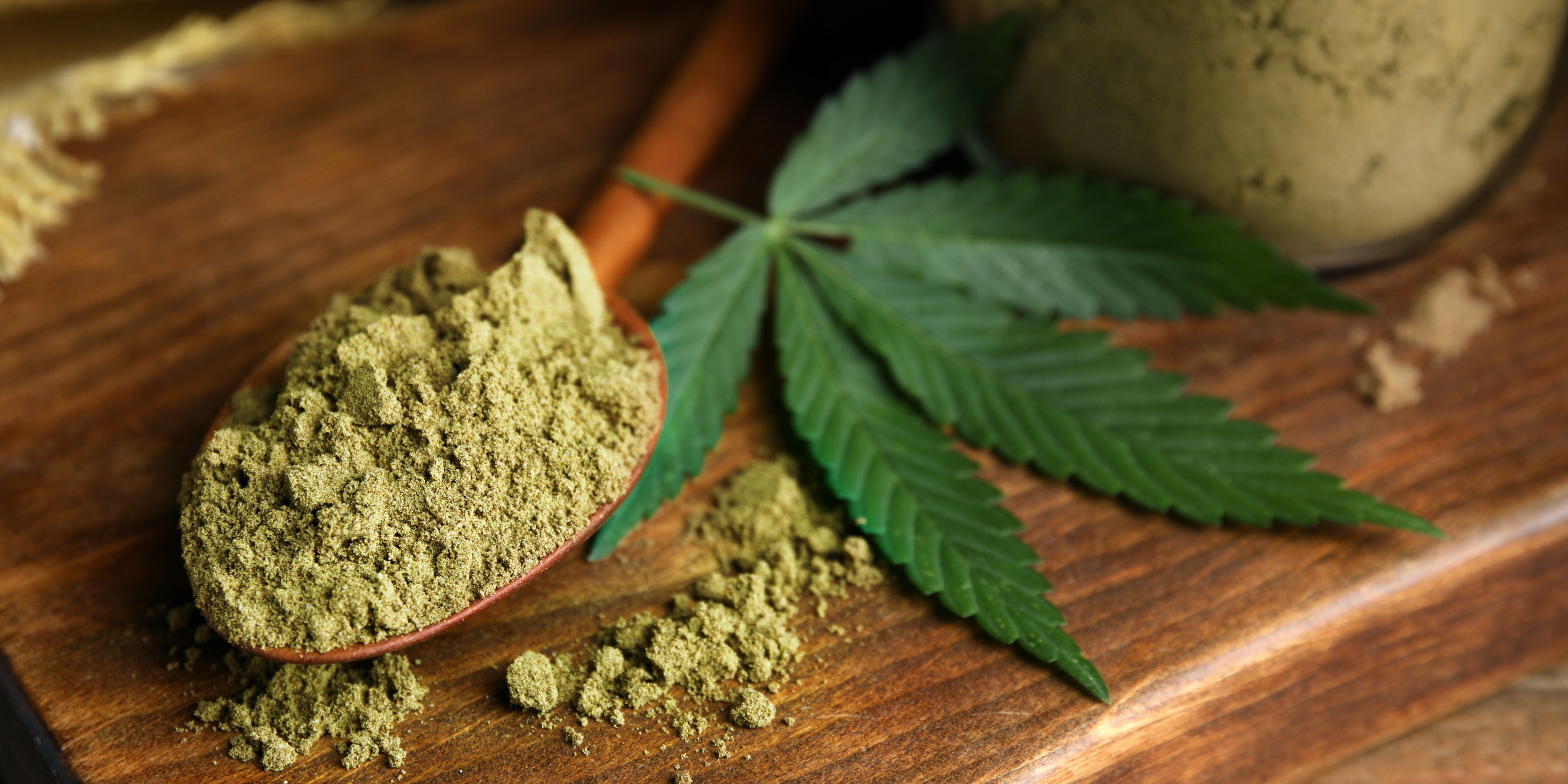 A Fiber Boost with Benefits: The Digestive Perks of Hemp Protein Powder