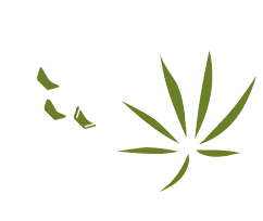 Cannabinoid Content